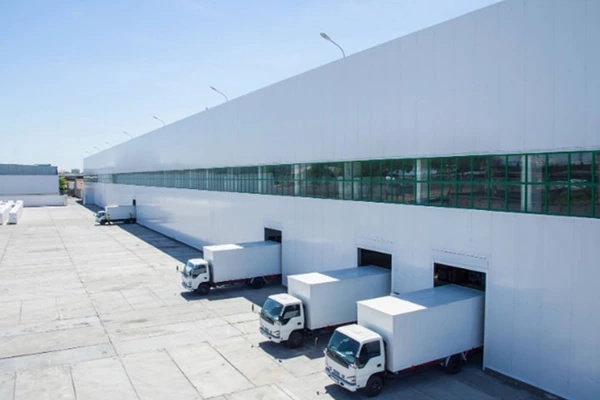 Cross-Border Logistics Support for a Singaporean Fashion Brand