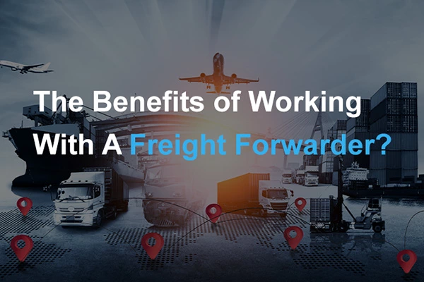 Zbao Logistics: Your Trusted Partner in International Freight Forwarding
