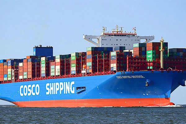 The Ultimate 20ft Shipping Container Guide: Dimensions, FCL, LCL, and Logistics Solutions