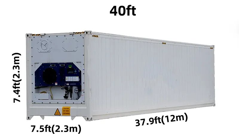 A Complete Guide to Freight Container Sizes and Dimensions