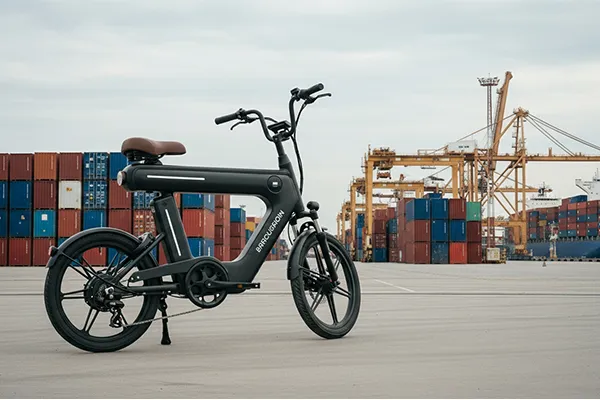 Import E-Bikes from China to USA: Complete Guide