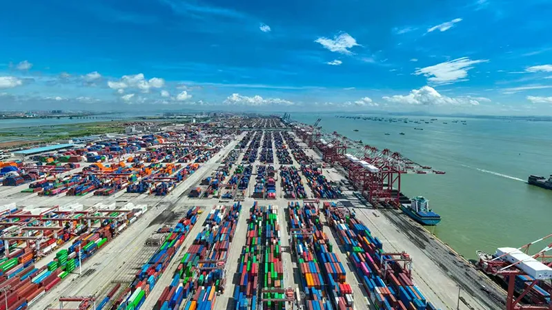 China Base Ports Guide 2026: Yantian vs Shanghai & DG Strategy