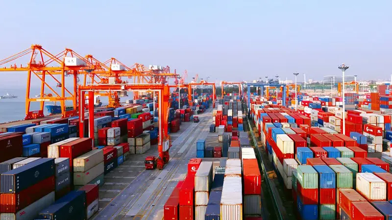 China Base Ports Guide 2026: Yantian vs Shanghai & DG Strategy